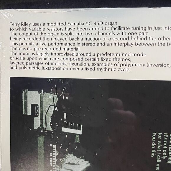 Terry Riley – Descending Moonshine Dervishes – Vinyl, LP, Reissue, NEW Synth - Picture 5 of 6